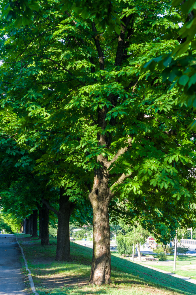 best neighborhoods in charlotte nc