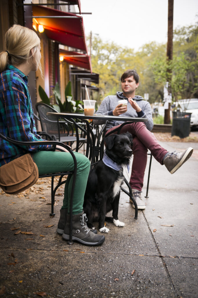 pet friendly apartments charlotte nc